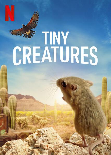 微观世界 Tiny Creatures (2020)