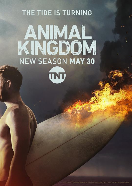 野兽家族 第二季 Animal Kingdom Season 2 (2017)
