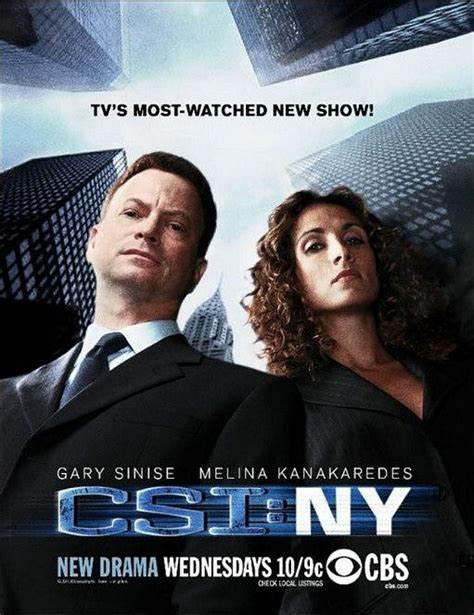 犯罪现场调查：纽约 第五季 CSI: NY Season 5 (2008)