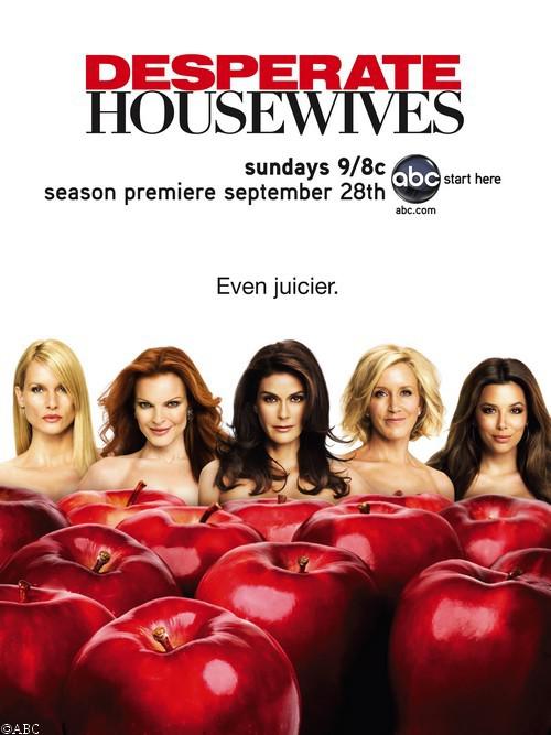 绝望主妇 第五季 Desperate Housewives Season 5 (2008)
