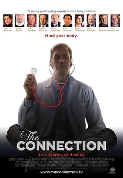 The Connection  (2014)