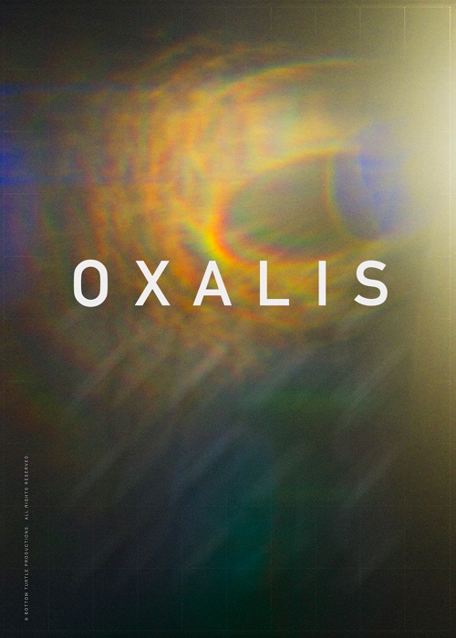 Oxalis  (2018)