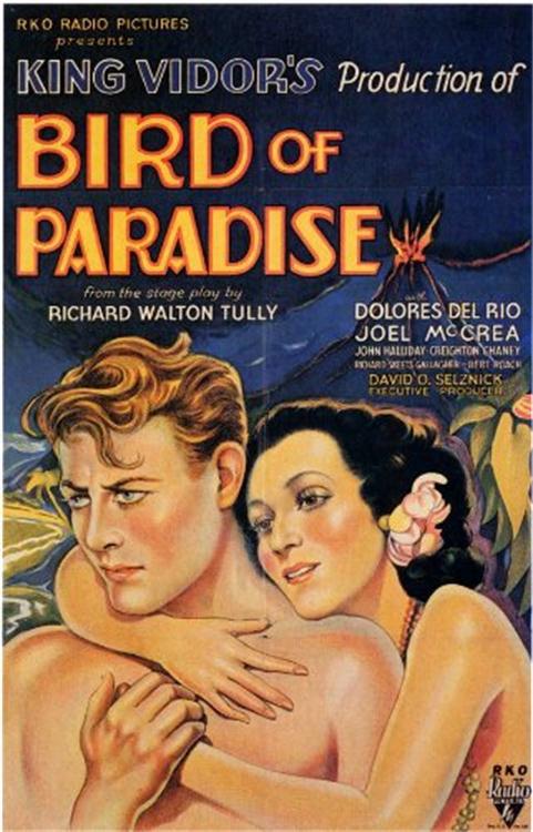 蛮女天堂 Bird of Paradise (1932)