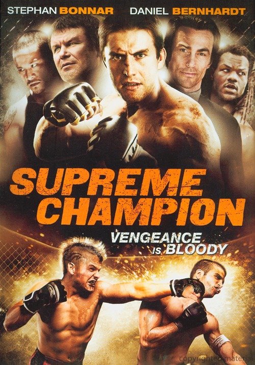 终极冠军 Ultimate Champion (2010)