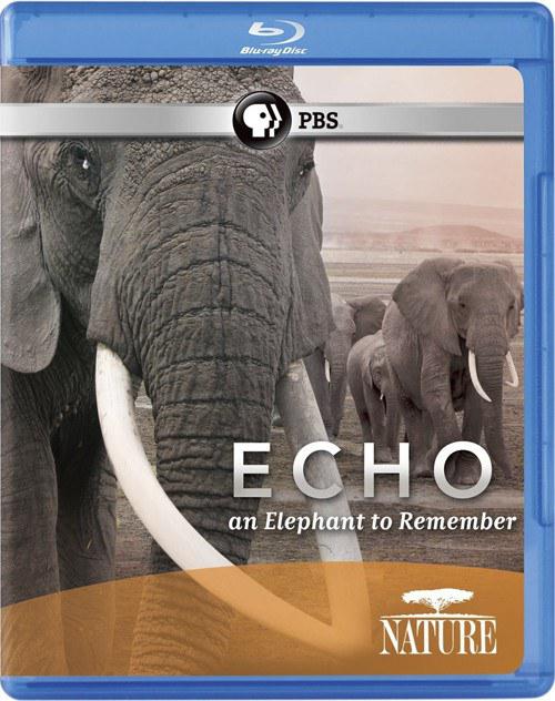 大象"回声"的回忆 Echo: An Elephant to Remember (2010)