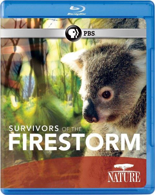 大火幸存者 Nature: Survivors of the Firestorm (2011)