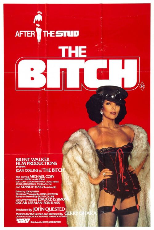 豪门蛇蝎花 The Bitch (1979)