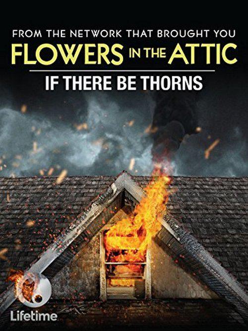 如果有荆棘 If There Be Thorns (2015)