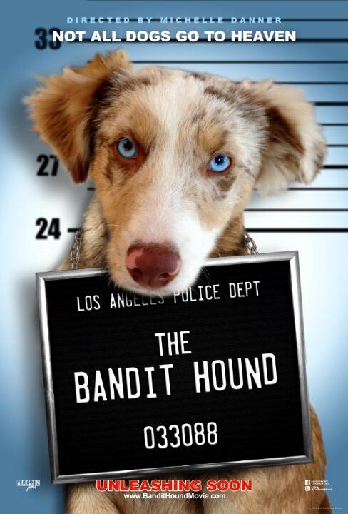 猎犬强盗 The Bandit Hound (2016)