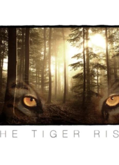 高飞 The Tiger Rising (2022)