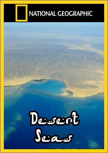 Desert Seas  (2011)