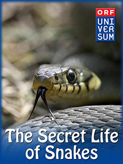 蛇的秘密生活 The Secret Life of Snakes (2016)