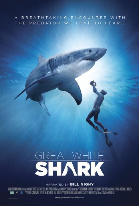 大白鲨 Great White Shark (2013)