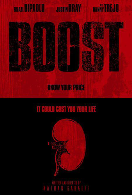 偷车贼 Boost (2015)