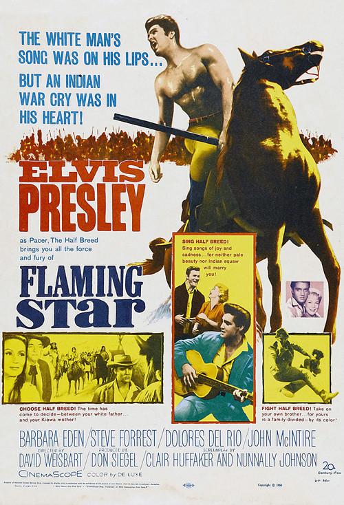 手足英雄 Flaming Star (1960)