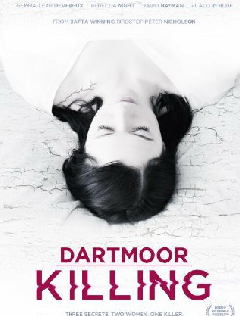 Dartmoor Killing  (2015)