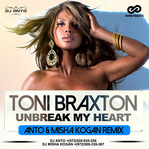 唐妮·布莱斯顿：别伤我的心 Toni Braxton: Unbreak my Heart (2016)