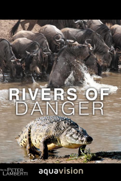 凶险河 Rivers of Danger (2004)