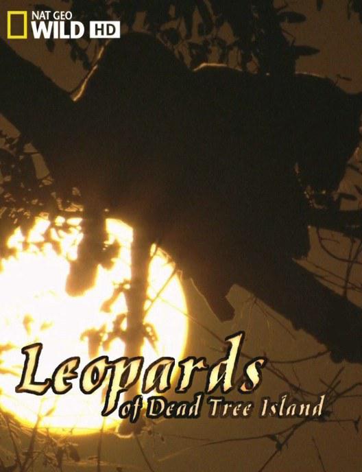 花豹生死斗 Leopards of Dead Tree Island (2011)