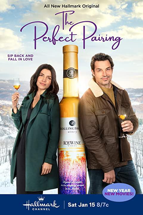 完美搭配 The Perfect Pairing (2022)