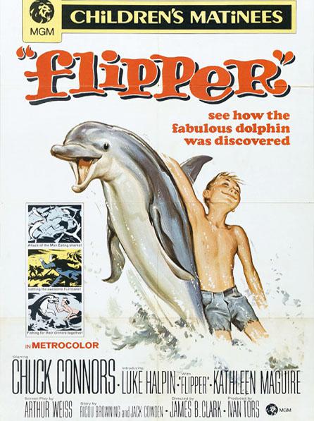 海豚飞宝 Flipper (1963)