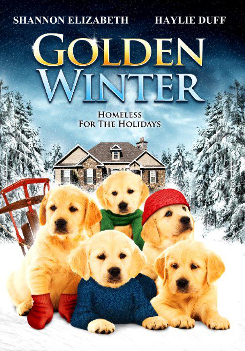 金毛喜迎冬 Golden Winter (2012)