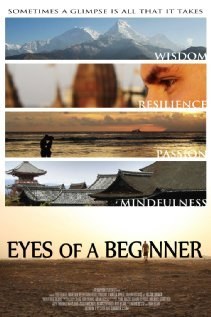 重获光明之旅 Eyes of a Beginner (2011)