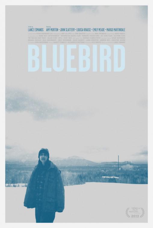 青鸟 Bluebird (2013)