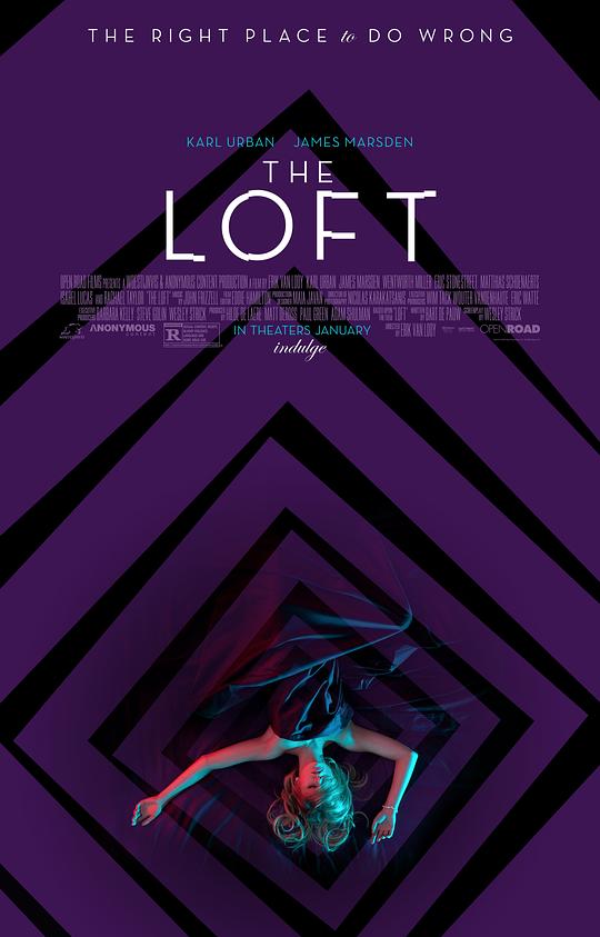 阁楼 The Loft (2014)