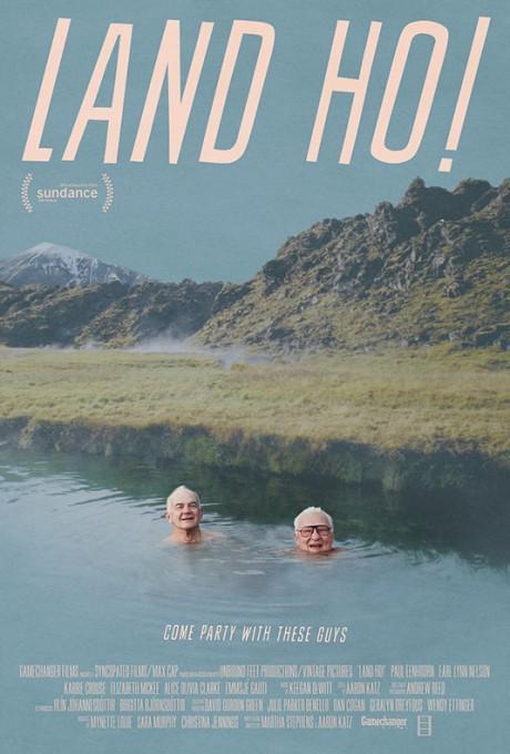 老游冰岛 Land Ho! (2014)