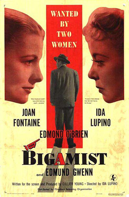 重婚者 The Bigamist (1953)