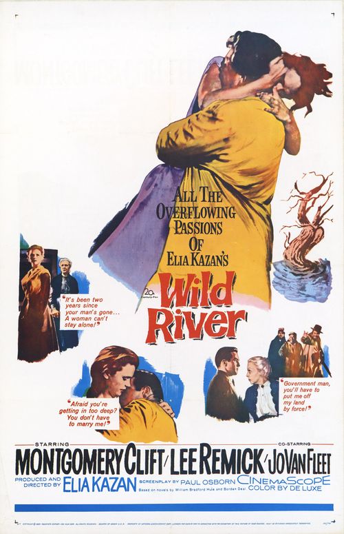 狂澜春醒 Wild River (1960)