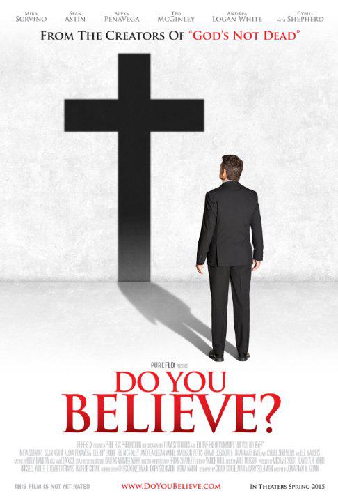 你相信么？ Do You Believe? (2015)