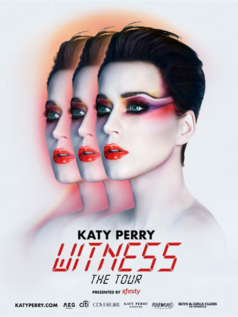 凯蒂·派瑞：你会见证我吗 Katy Perry: Will You Be My Witness? (2017)