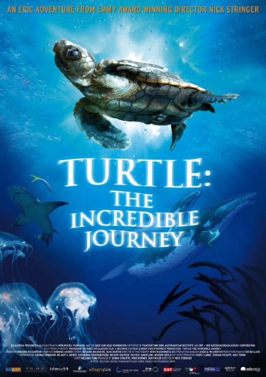 海龟奇妙之旅 Turtle: The Incredible Journey (2009)