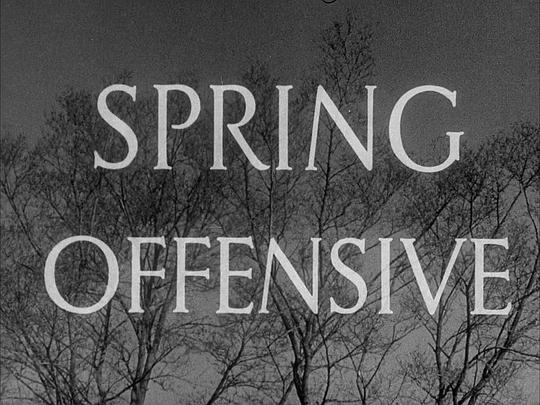 Spring Offensive  (1940)