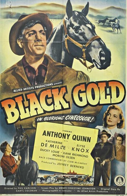 黑旋风 Black Gold (1947)