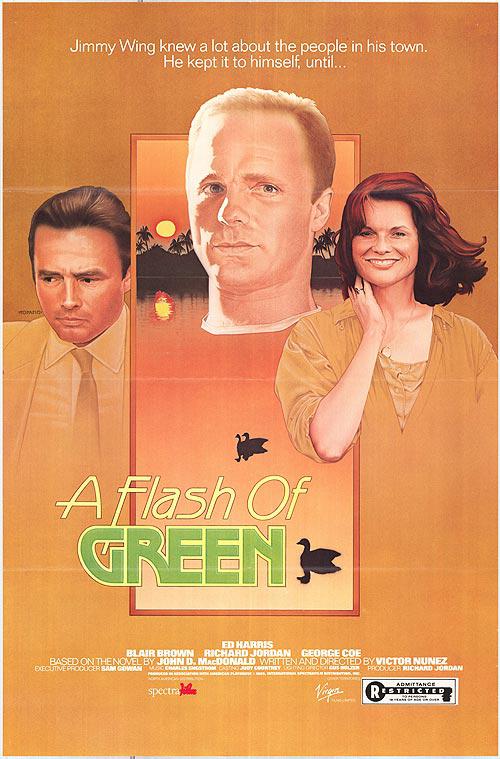 绿色闪光 A Flash of Green (1984)