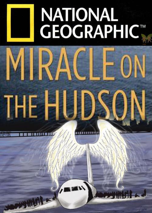 奇迹迫降哈德逊河 Miracle Landing on the Hudson (2014)