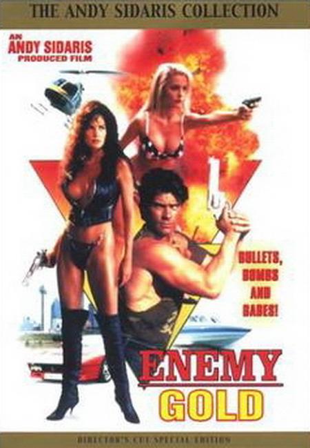 执法女先锋 Enemy Gold (1993)