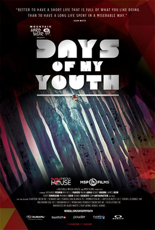 我的青葱岁月 Days of My Youth (2014)