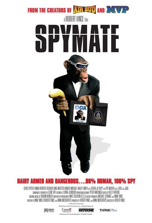 金刚归来 Spymate (2006)