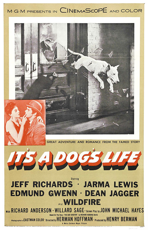 狗脸人生 It's a Dog's Life (1955)