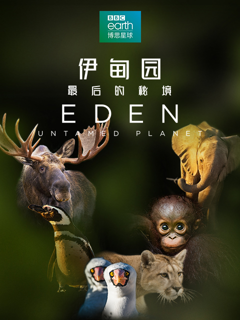 伊甸园：最后的秘境 Eden: Untamed Planet (2021)