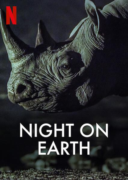 地球的夜晚 Night on Earth (2020)