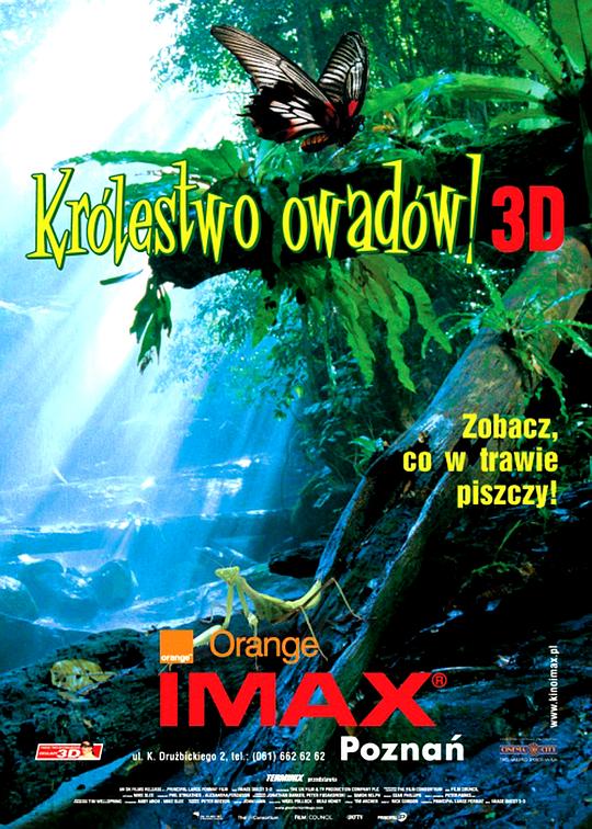 虫子：热带雨林冒险 Bugs!: A Rainforest Adventure (2003)