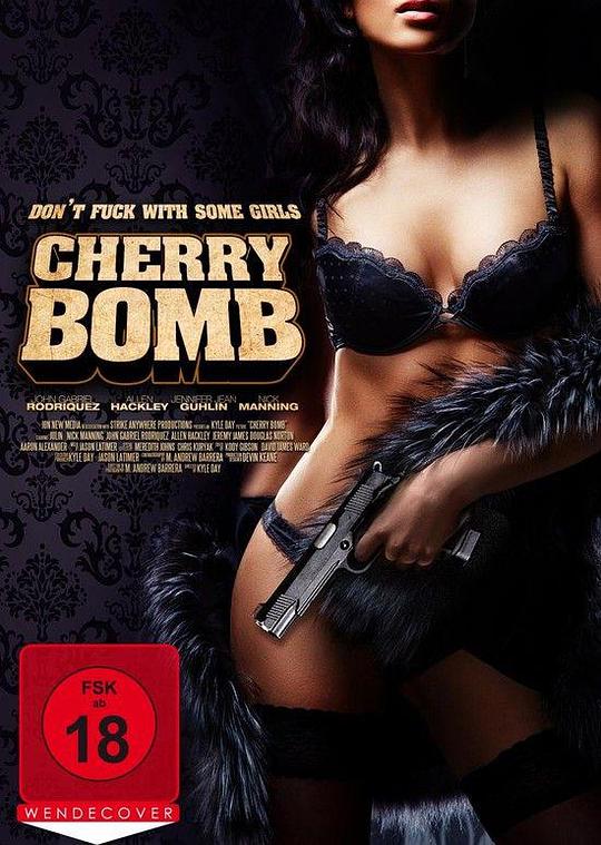 樱桃炸弹 Cherry Bomb (2010)