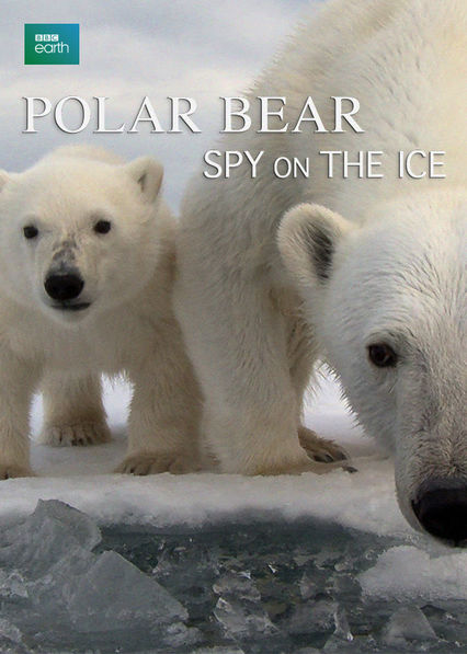 北极熊：冰上侦探 Polar Bears: Spy on the Ice (2010)