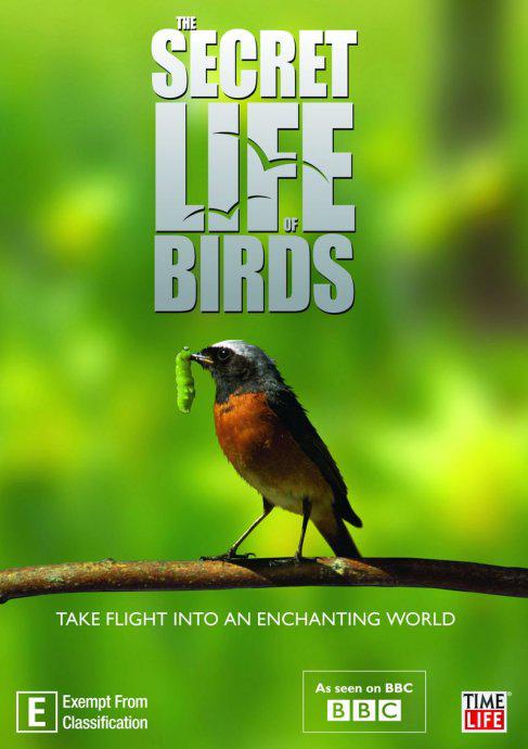 鸟类秘闻 Secret Life of Birds (2012)