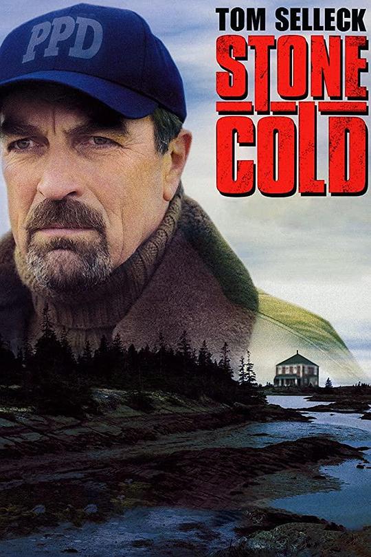 铁血证据 Stone Cold (2005)